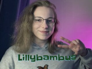 Lillybambus