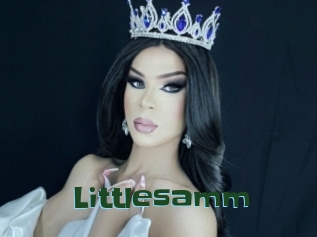 Littlesamm