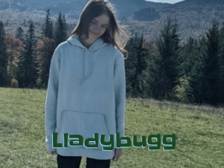 Lladybugg