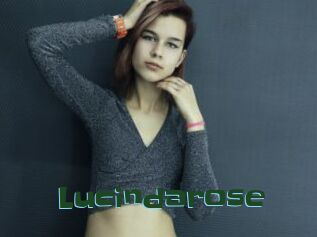 Lucindarose