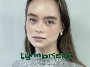 Lynnbricks
