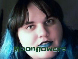 Moonflowers