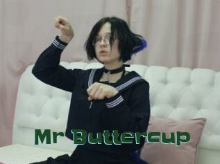 Mr_Buttercup