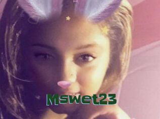 Mswet23