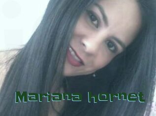 Mariana_hornet