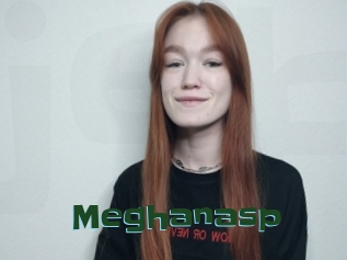 Meghanasp