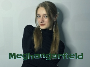 Meghangarfield