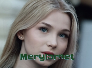 Merylarnet