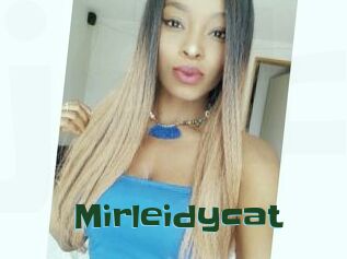 Mirleidycat