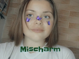 Mischarm