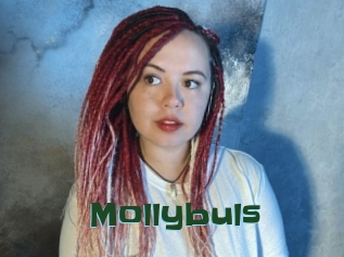 Mollybuls