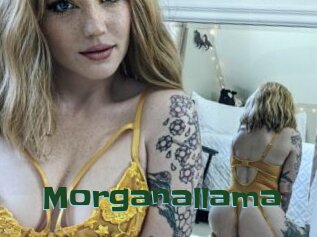 Morganallama