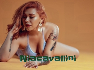 Niacavallini