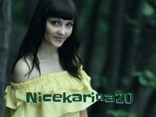 Nicekarina20