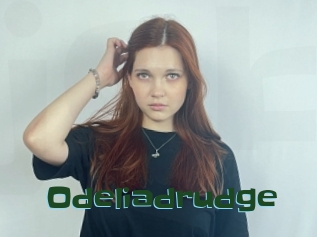 Odeliadrudge