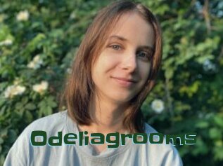 Odeliagrooms