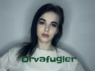 Orvafugler