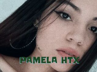PAMELA_HTX