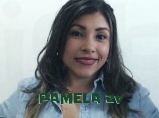 PAMELA_zv
