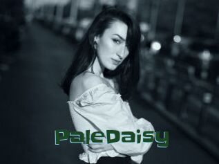 PaleDaisy