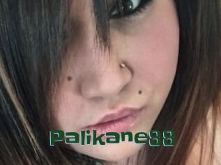 Palikane88