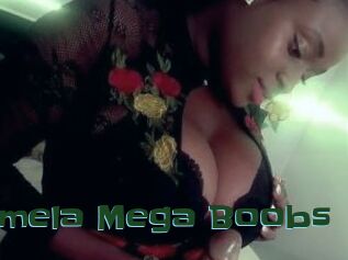 Pamela_Mega_Boobs
