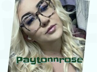 Paytonnrose