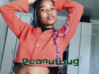 Peanutbug