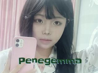 Penegemma