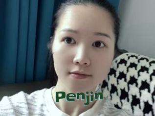 Penjin