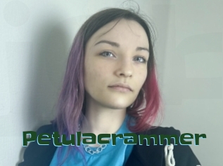 Petulacrammer