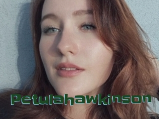 Petulahawkinson