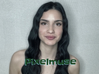 Pixelmuse