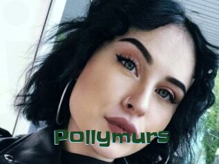 Pollymurs