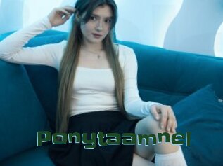 Ponytaamnel