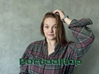 Portiaalltop