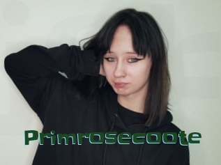 Primrosecoote
