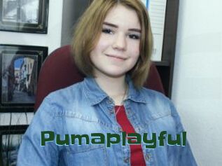 Pumaplayful