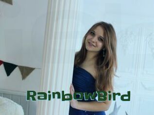 RainbowBird