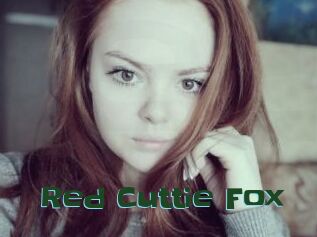 Red_Cuttie_Fox
