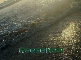 ReeseBoo