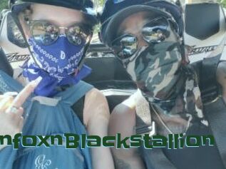 RussianfoxnBlackstallion