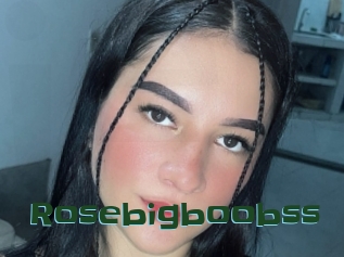 Rosebigboobss