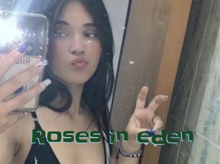 Roses_in_eden