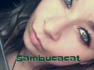 Sambucacat