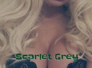 Scarlet_Grey