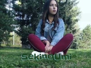SekinoUmi