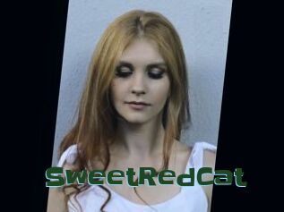 SweetRedCat