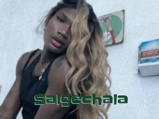 Salgechala