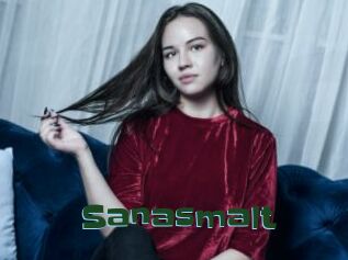Sanasmalt